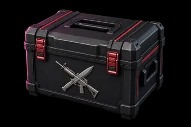Weapons Case